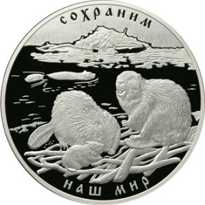 Изображение реверса: 100 рублей 2008 года СПМД «Речной бобр» Proof