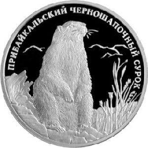 Изображение реверса: 2 рубля 2008 года СПМД «Прибайкальский черношапочный сурок» Proof в каталоге монет Российской Федерации