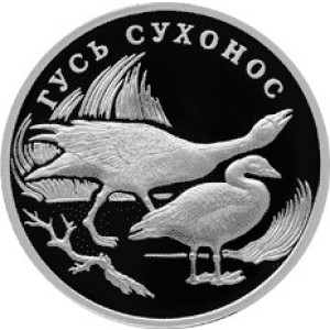 Изображение реверса: 1 рубль 2006 года СПМД «Гусь сухонос» Proof